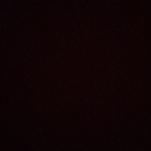 Meet your Posher, Elsa